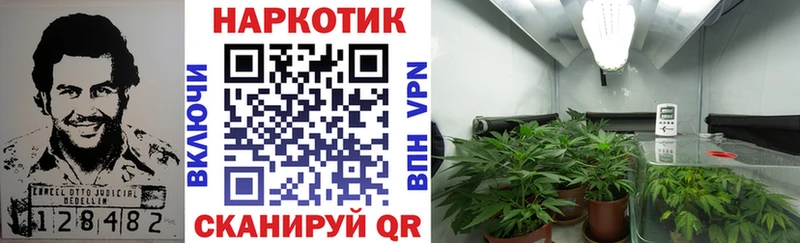 Сколько стоит Кудымкар Гашиш Марихуана АМФЕТАМИН Галлюциногенные грибы МЕФ