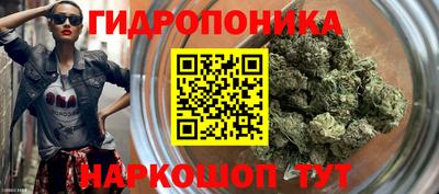 дурь Гусиноозёрск