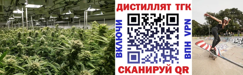 Дистиллят ТГК концентрат  закладки  Кудымкар 