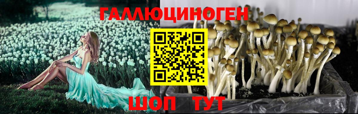 Кудымкар  Галлюциногенные грибы Psilocybe  Вход с VPN  Псилоцибиновые грибы Magic Shrooms 