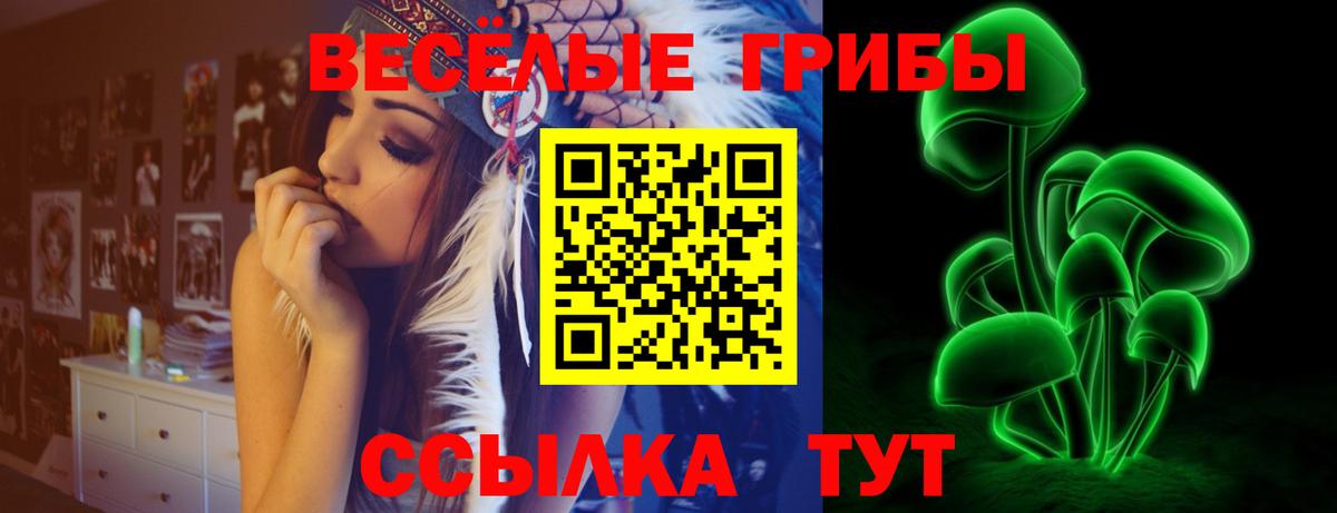 Псилоцибиновые грибы ЛСД Кудымкар